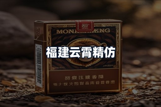 福建云霄精仿